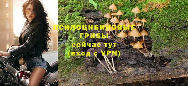 стафф Абаза