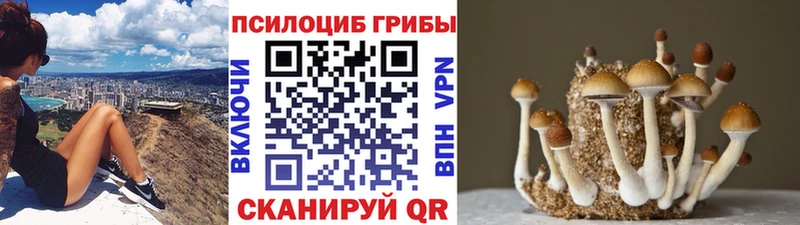 мега вход  Приволжск  Галлюциногенные грибы ЛСД 